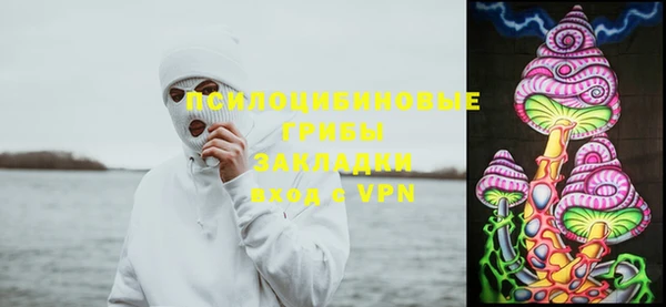 первитин Богданович