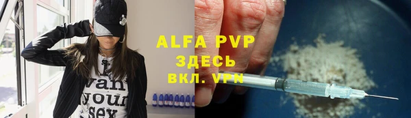 спиды Богородицк