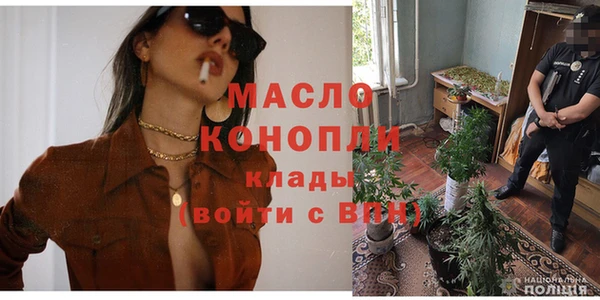 прущие крисы Бородино