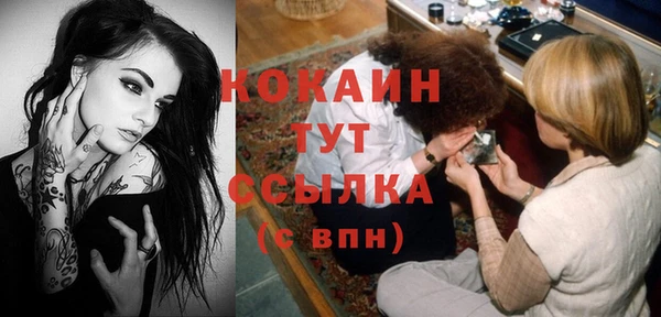 спиды Богородицк