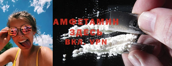 спиды Богородицк