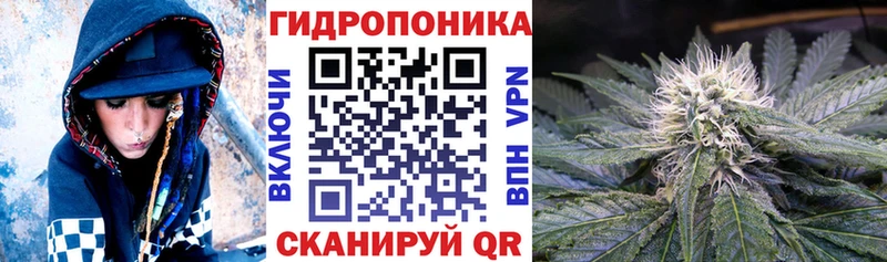 Бошки марихуана сатива  хочу   Севастополь 